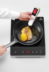 Zdjęcie do “Termometr cyfrowy HACCP na podczerwień z sondą - kod 271254”.