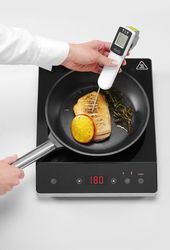 Zdjęcie do “Termometr cyfrowy HACCP na podczerwień z sondą - kod 271254”.