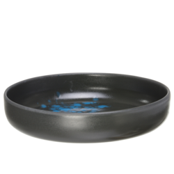 Zdjęcie do “Fine Dine Miska płytka Flora śr. 200 mm - kod 780848”.