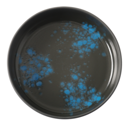Zdjęcie do “Fine Dine Miska płytka Flora śr. 200 mm - kod 780848”.