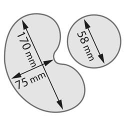 Zdjęcie do “Stalgast Szatkownica do warzyw, CL50,  550 W, U 400 V - kod S713501”.