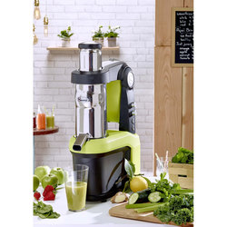 Zdjęcie do “Santos Wyciskarka wolnoobrotowa Cold Press do 60l/h - kod S482650”.
