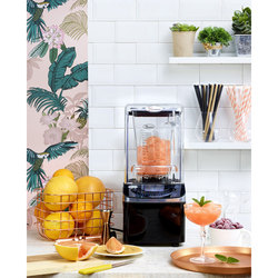 Zdjęcie do “Santos Blender profesjonalny z osłoną wyciszającą 2,4l - kod S484620”.