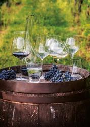 Zdjęcie do “Rona Kieliszek do win białych, różowych oraz młodych czerwonych 690 ml - kod 72873100”.