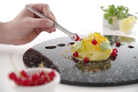 Zdjęcie do “Pęseta gastronomiczna z okrągłymi końcówkami 150 mm - kod 680124”.