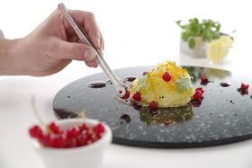 Zdjęcie do “Pęseta gastronomiczna z okrągłymi końcówkami 150 mm - kod 680124”.