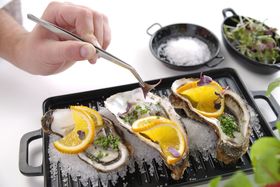 Zdjęcie do “Pęseta gastronomiczna zakrzywiona 235 mm - kod 680063”.