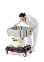 Zdjęcie do “CAMBRO Pojemnik termoizolacyjny wielofunkcyjny na tort - kod EPPMFBE122110”.