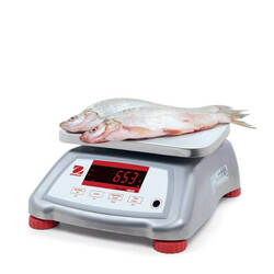 Zdjęcie do “Stalgast waga pomocnicza, wodoodporna, stal nierdzewna, zakres 3 kg, dokładność 0,5 g - kod S730031”.