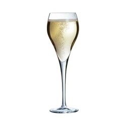 Zdjęcie do “Arcoroc Kieliszek do szampana Brio Flute 160 ml - kod J1478”.