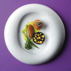Zdjęcie do “Fine Dine Talerz gourmet Fizz śr. 270 mm - kod 788585”.