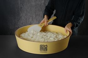 Zdjęcie do “Misa Hangiri do mieszania ryżu, Hasegawa śr. 480x(H)110mm - kod 513804”.