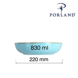 Zdjęcie do “Fine Dine Miska płytka Laguna śr. 220 mm/830 ml - kod 04ALM003012”.