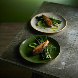 Zdjęcie do “Fine Dine miska trójkątna Sorrel Green 260 ml - kod SSRSTRB61”.