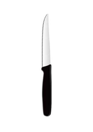 Zdjęcie do “Nożyk do pomidorów dł. 21,4 cm - kod 841136”.