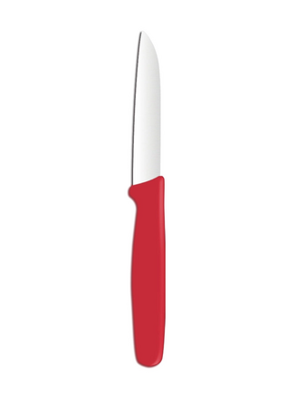 Zdjęcie do “Nożyk do obierania prosty dł. 75/180 mm - kod 841556”.