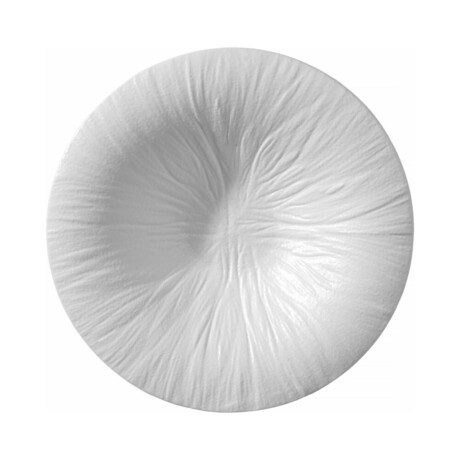 Zdjęcie do “Fine Dine Talerz do pasty Fiord śr. 250 mm - kod 788530”.