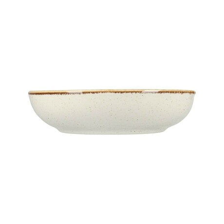 Zdjęcie do “Fine Dine Miska płytka Sand śr. 220 mm/830 ml - kod 04ALM003014”.