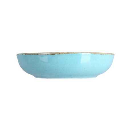 Zdjęcie do “Fine Dine Miska płytka Laguna śr. 220 mm/830 ml - kod 04ALM003012”.