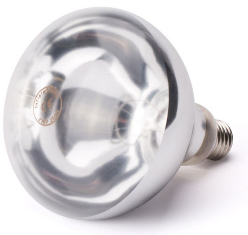 Zdjęcie do “Żarówka grzewcza na podczerwień do lamp gastronomicznych grzewczych - kod 919200”.
