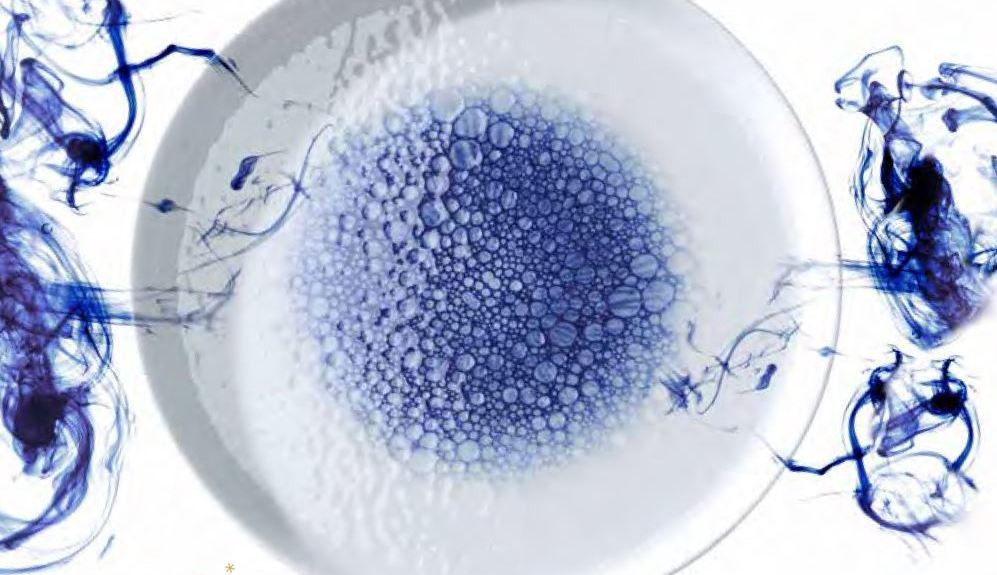 Zdjęcie do “Porcelana Fine Dine Serenity”.